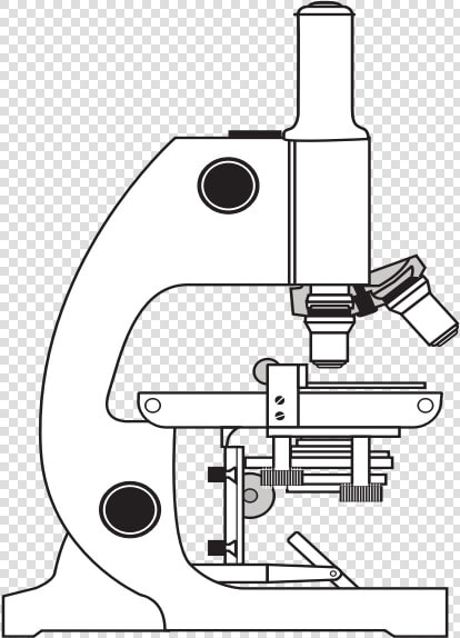 Simple Microscope   Use Light Microscope Ppt  HD Png DownloadTransparent PNG