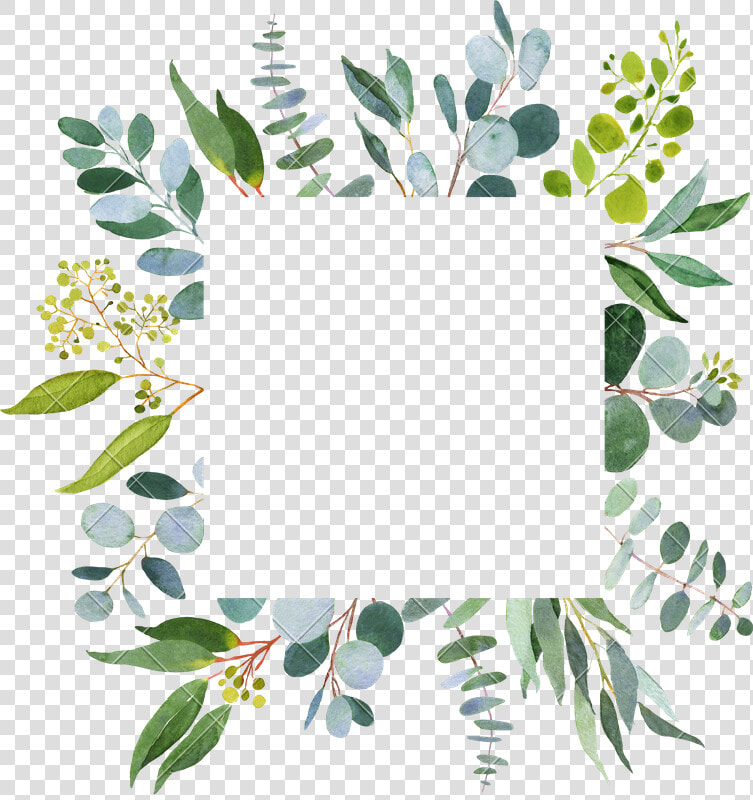 Clip Art Eucalyptus Greenery   Greenerys Templates  HD Png DownloadTransparent PNG