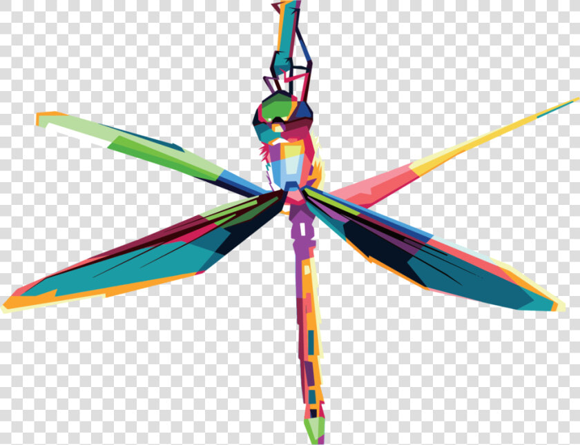 Transparent Dragonfly Wings Png   Geometry Of Dragon Fly  Png DownloadTransparent PNG