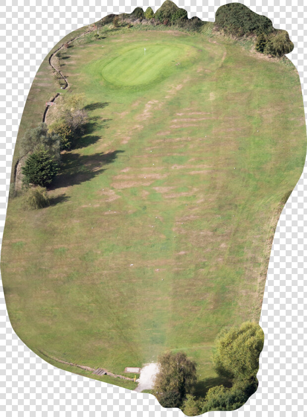 Transparent Hole In Ground Png   Attalea Speciosa  Png DownloadTransparent PNG