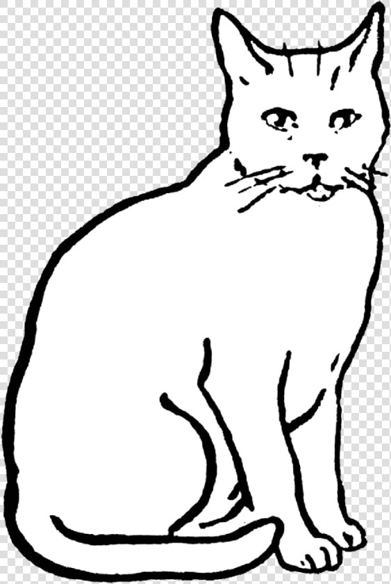 Cat Drawing  Animals Images  Digital Stamps Free  Clipart   Clip Art Of Cat  HD Png DownloadTransparent PNG