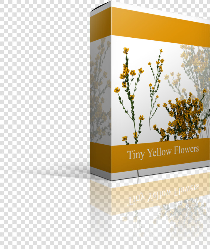 S327483270339485525 P53 I55 W2560   Floral Design  HD Png DownloadTransparent PNG