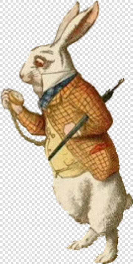 Transparent Alice In Wonderland Rabbit Png   Rabbit With Pocket Watch  Png DownloadTransparent PNG