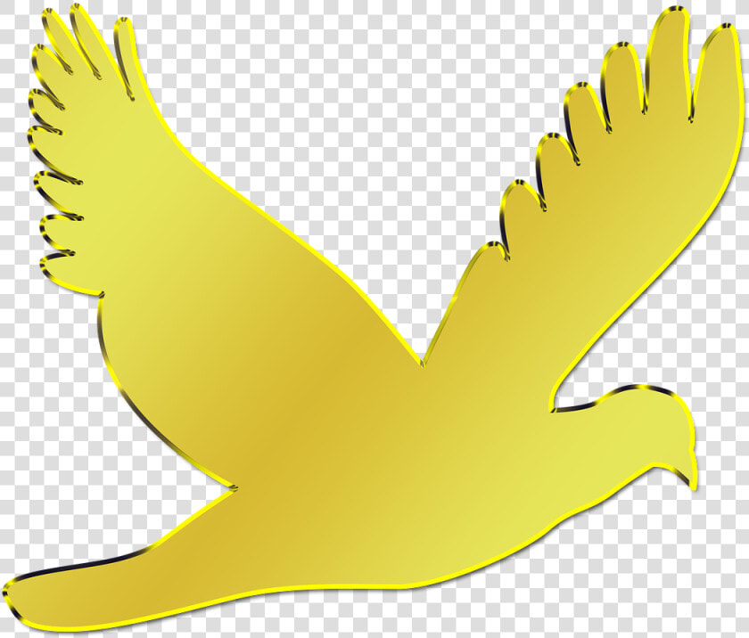 Paloma  Ave  Animal  Nature  Peak  Flight  Freedom   Paloma Dorada Silueta Png  Transparent PngTransparent PNG