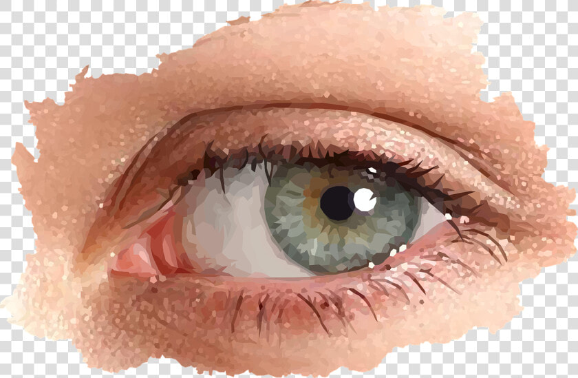 Œil Look Female Free Picture   Girl Real Eyes Png  Transparent PngTransparent PNG