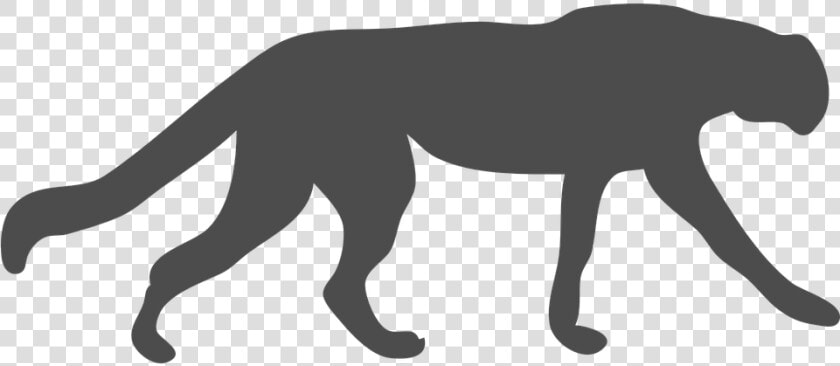 Wildcat  Cougar  Leopard  Cheetah  Animal  Cat  Feline   Cheetah Silhouette  HD Png DownloadTransparent PNG
