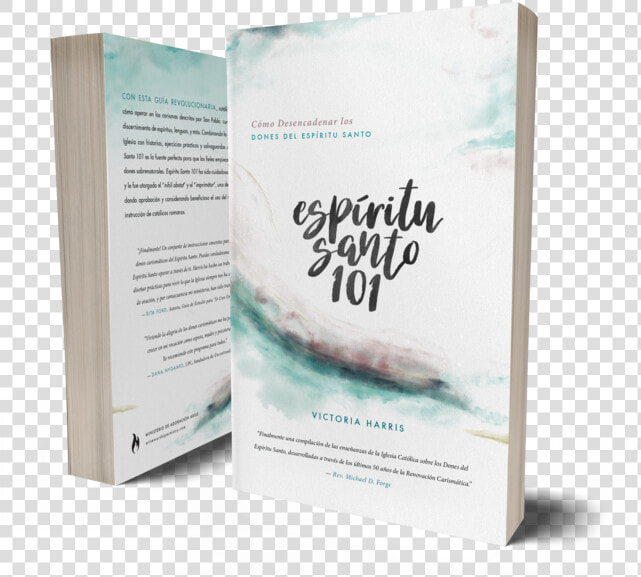 Front Back Basic   Espiritu Santo 101  HD Png DownloadTransparent PNG