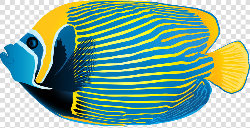 Underwater Image Library  HD Png DownloadTransparent PNG