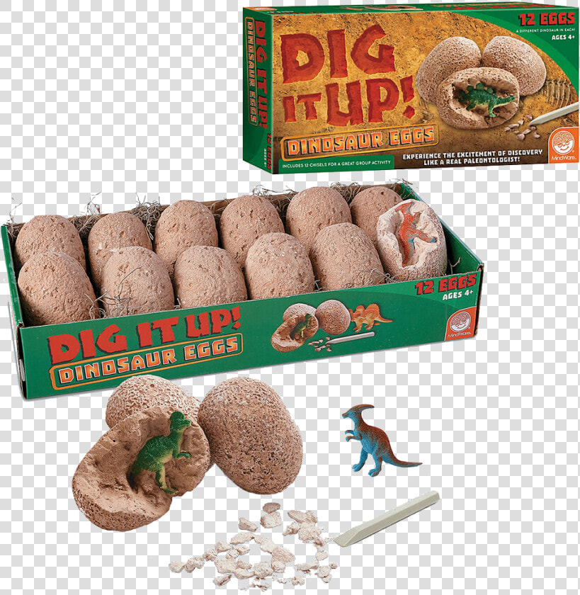 Dinosaur Eggs Dig  HD Png DownloadTransparent PNG