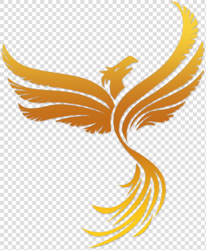 Phoenix Bird Vector Png Clipart   Png Download   Phoenix Bird Transparent Background  Png DownloadTransparent PNG