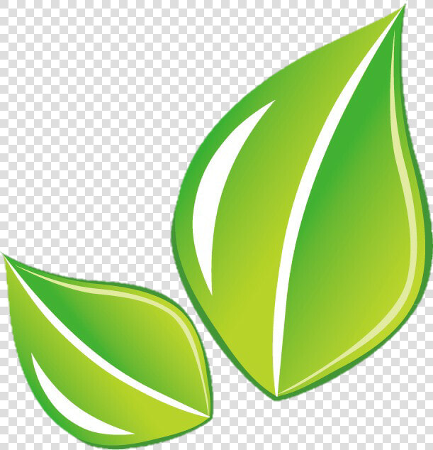  leaf  hoja  green  png  Transparent PngTransparent PNG