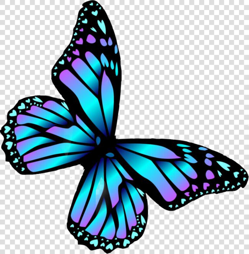  borboleta  burterfly  árcoíris  arcoiris  arco Iris  HD Png DownloadTransparent PNG