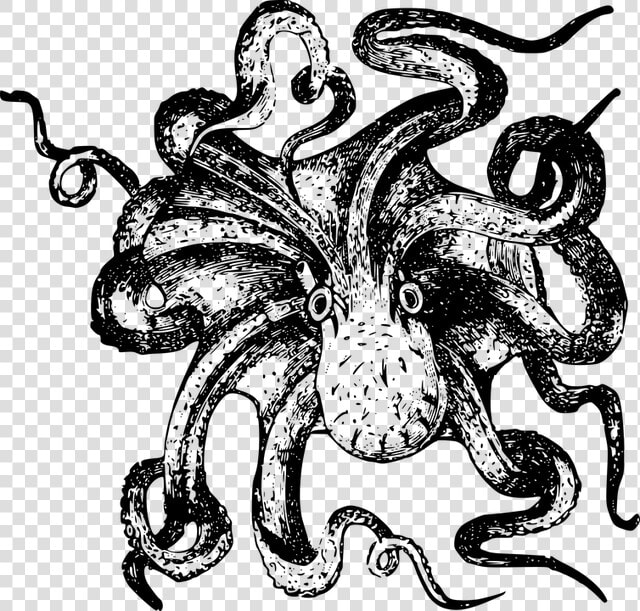 Kraken Transparent Clip Art   Sea Monster Drawing Png  Png DownloadTransparent PNG