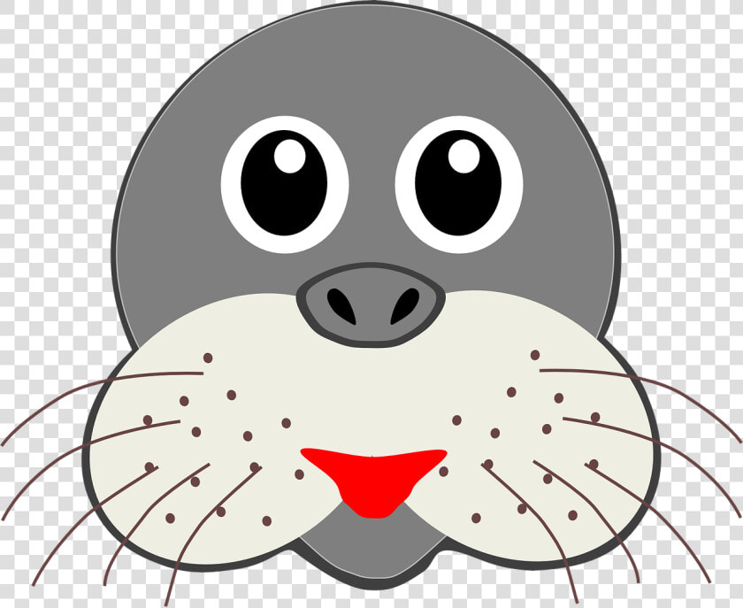 Funny Animal Faces Cartoon  HD Png DownloadTransparent PNG