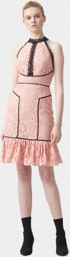 Lace Trim Png  Transparent PngTransparent PNG