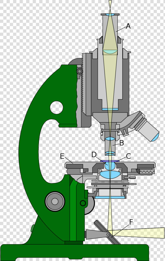 Light Refraction In Microscope  HD Png DownloadTransparent PNG