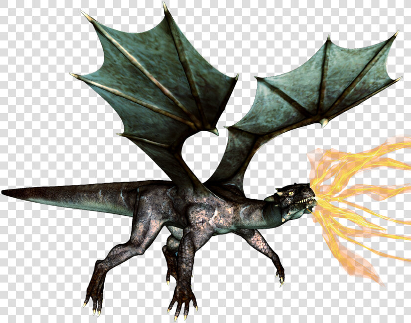 Naga Api Png  Transparent PngTransparent PNG