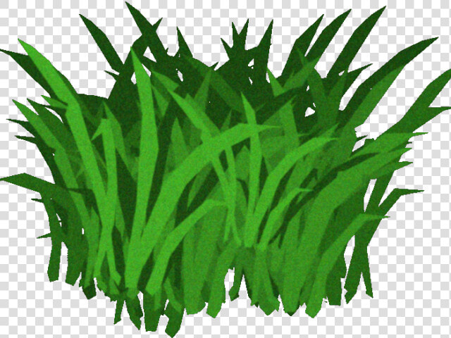 Algae Clipart Transparent Animated Seaweed With Transparent   Seaweed Transparent Background  HD Png DownloadTransparent PNG