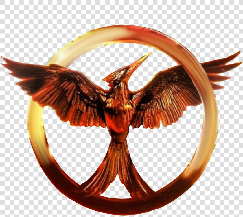 Mockingjay Catching Fire Peeta Mellark The Hunger Games   Transparent Hunger Games Mockingjay Symbol  HD Png DownloadTransparent PNG