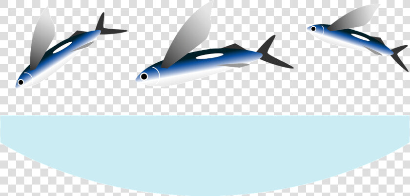 Wide body Aircraft  HD Png DownloadTransparent PNG