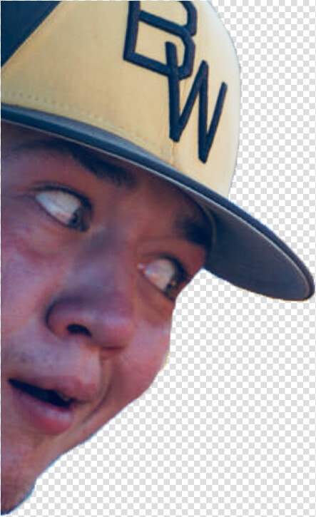 Transparent Wow Meme Png   Wow Meme Png  Png DownloadTransparent PNG
