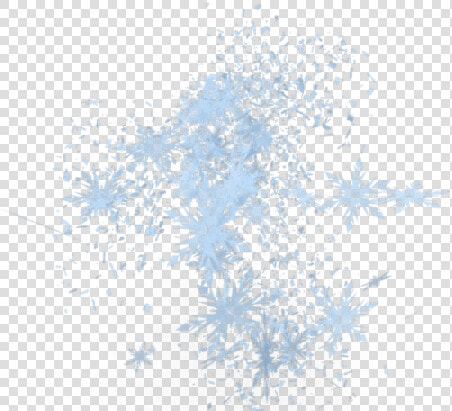 Ice Bucket Challenge  amp  Als Association   Tree  HD Png DownloadTransparent PNG