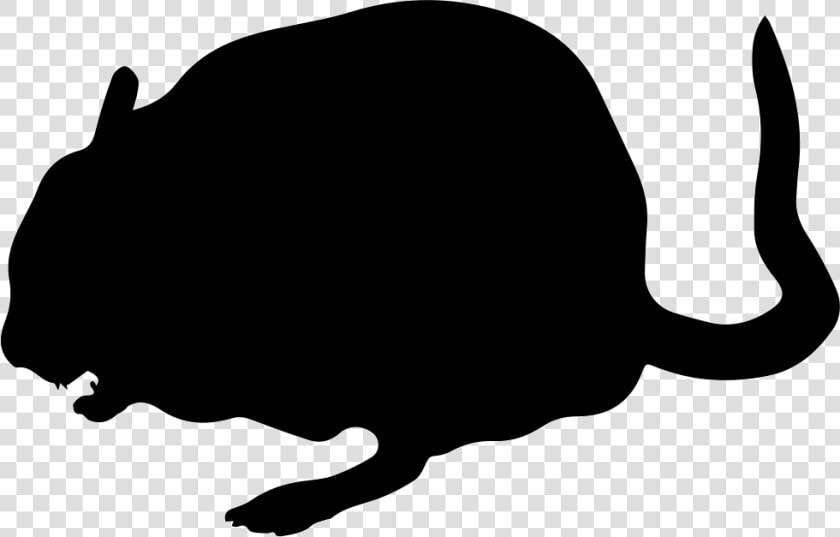 Chinchilla Animal Shape   Chinchilla  HD Png DownloadTransparent PNG
