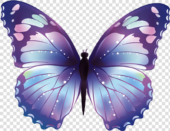 Borboletas Png  Transparent PngTransparent PNG