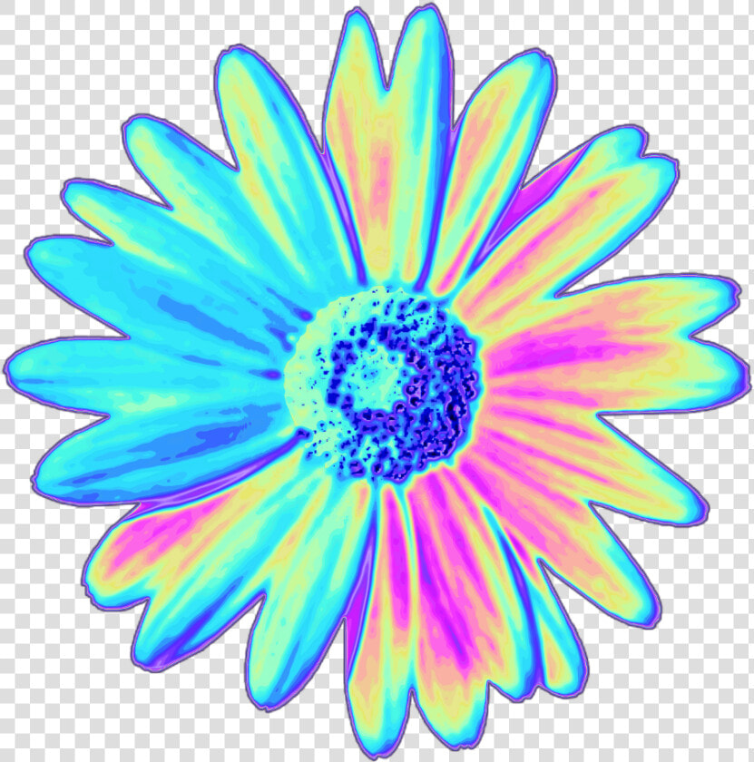 Daisy Holographic Flower Flower Holo Holographic Tumblr   Png Stickers Picsart Png  Transparent PngTransparent PNG
