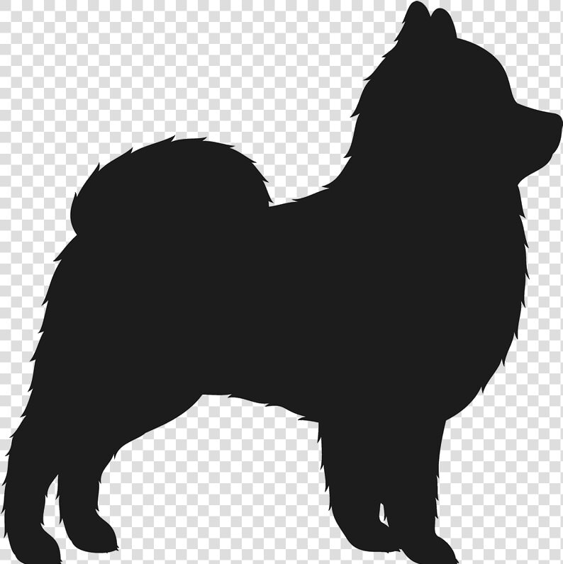 Pomeranian Silhouette  HD Png DownloadTransparent PNG