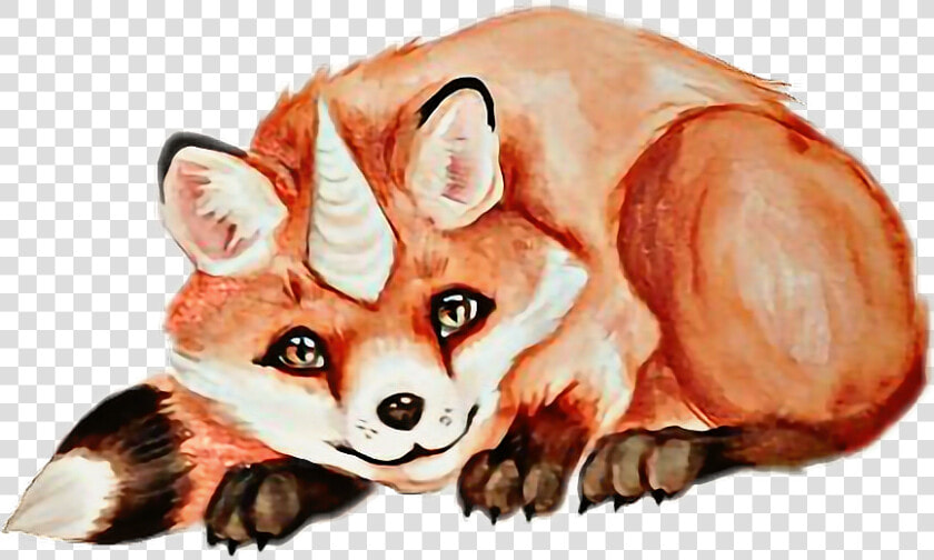Fox With Unicorn Horn   Png Download   Fox With Unicorn Horn  Transparent PngTransparent PNG