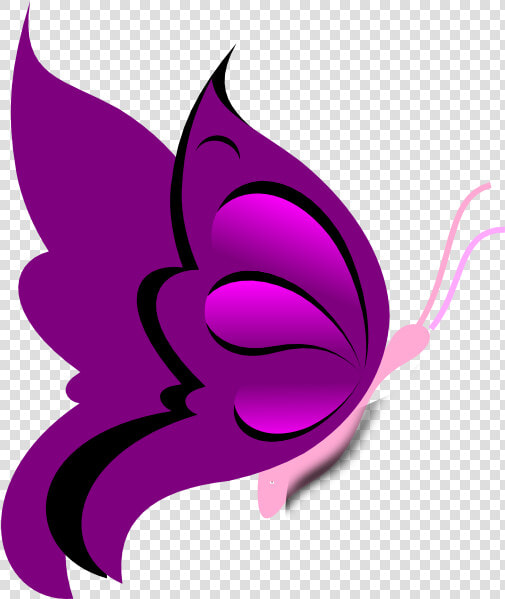 Kupu Kupu Gambar Animasi  HD Png DownloadTransparent PNG