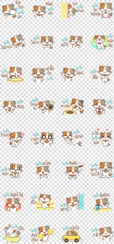 Cat Name Is Naja  HD Png DownloadTransparent PNG