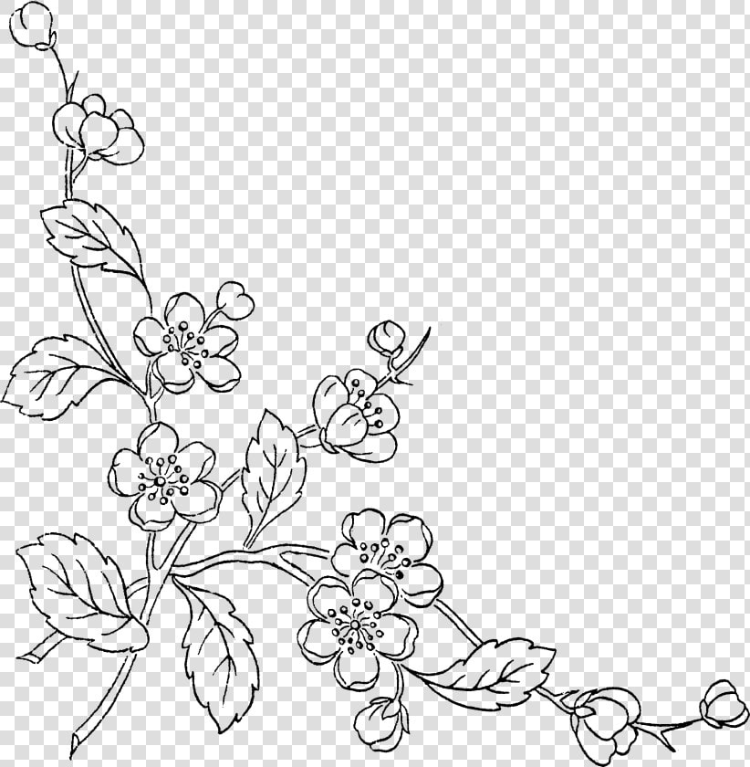 Of Flowers Transprent Free   Transparent Background Flower Line Art Png  Png DownloadTransparent PNG