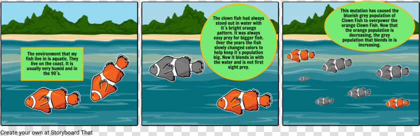 Clownfish Png  Transparent PngTransparent PNG