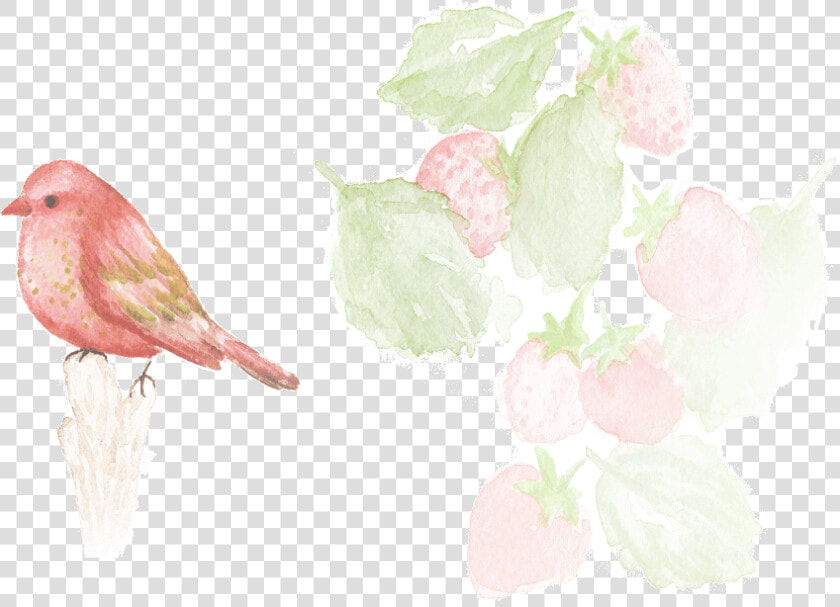 Organic Wild Strawberry   Darkness  HD Png DownloadTransparent PNG