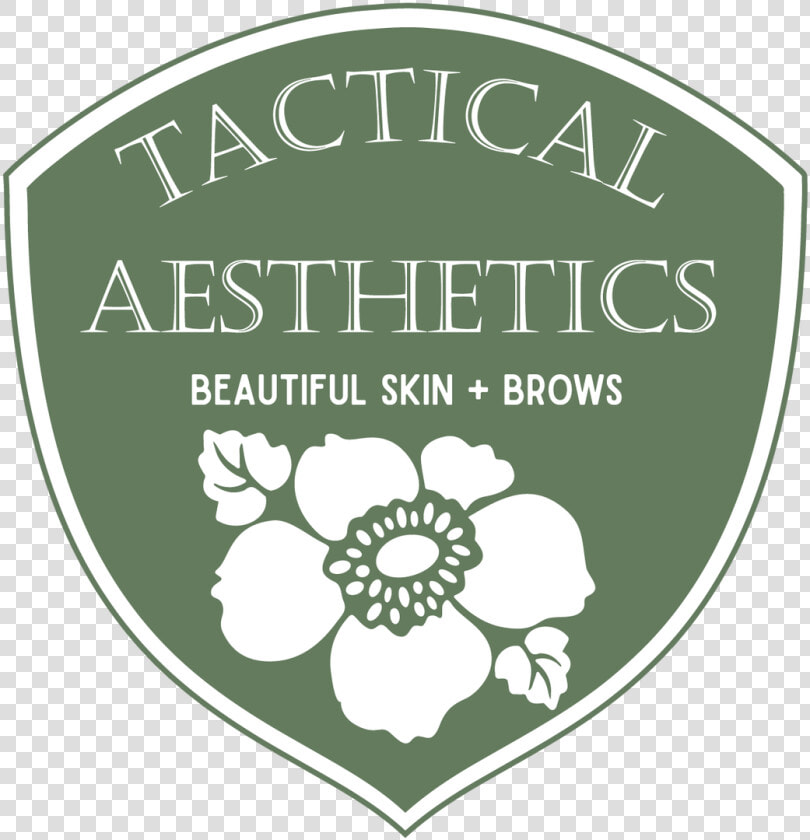 Aesthetics In Education  HD Png DownloadTransparent PNG