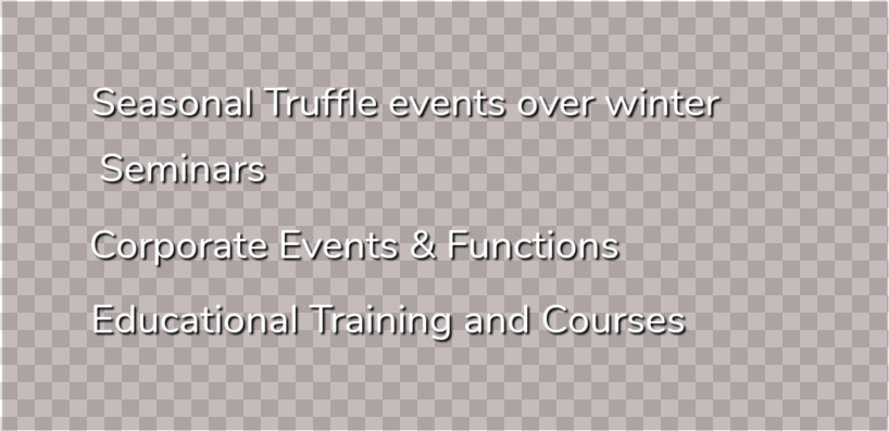 Mast Truffle Seminars   Parallel  HD Png DownloadTransparent PNG