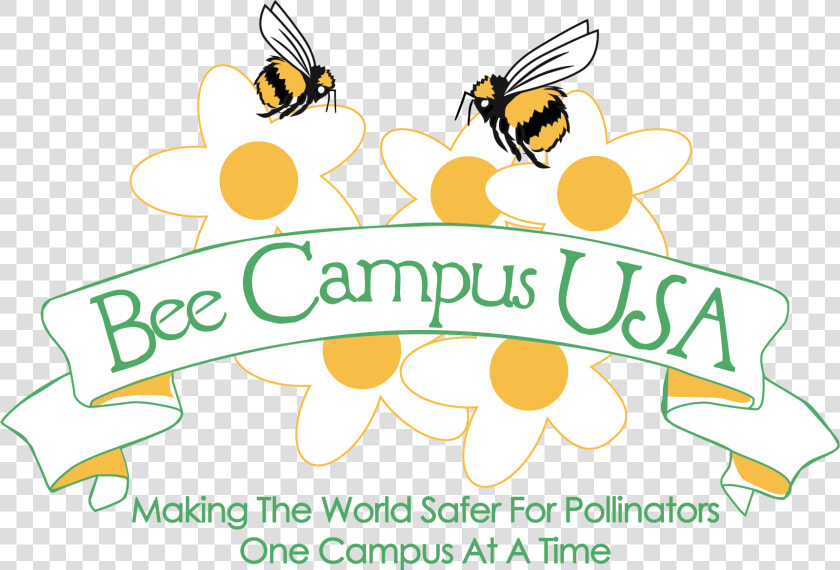 Bee Campus Usa  HD Png DownloadTransparent PNG