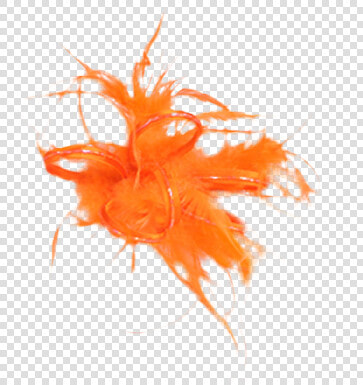 Marine Invertebrates  HD Png DownloadTransparent PNG