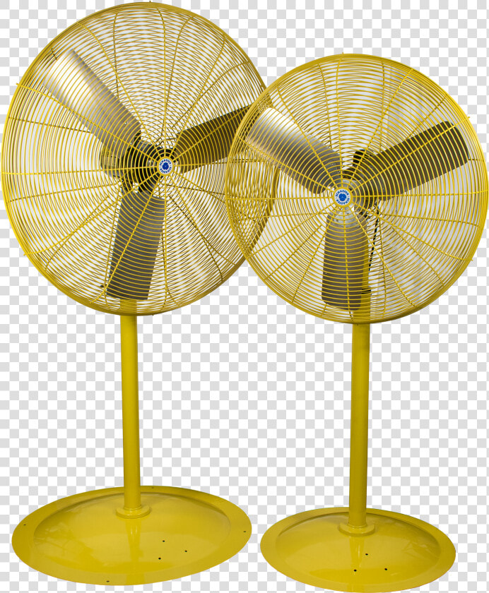 Schaefer Fans  HD Png DownloadTransparent PNG
