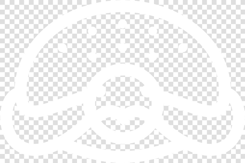 The Black Turtle   Black Turtle  HD Png DownloadTransparent PNG