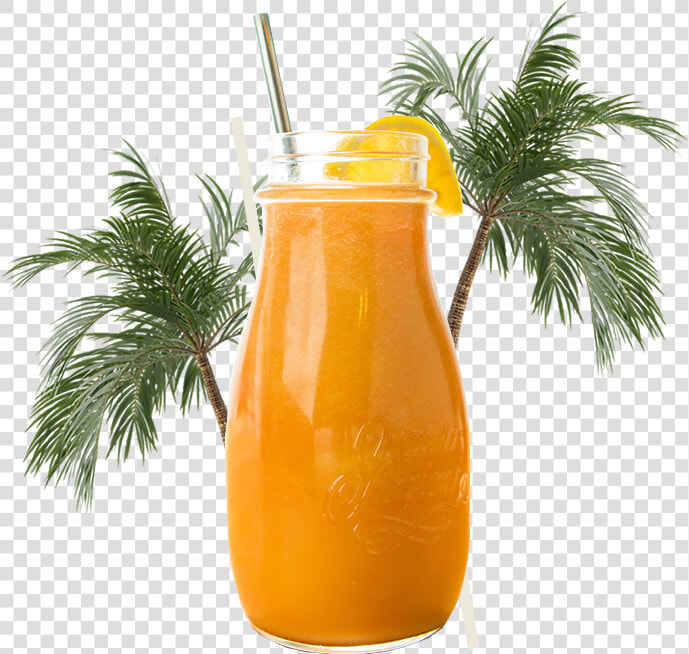Mai Tai  HD Png DownloadTransparent PNG
