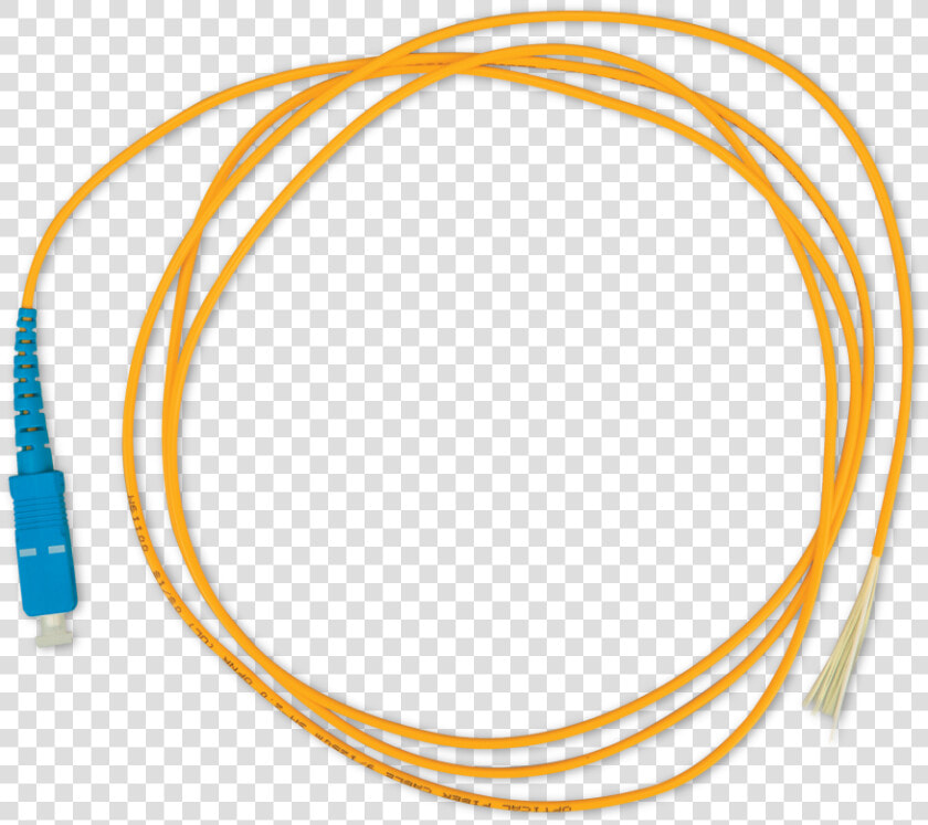 Pigtails Png  Transparent PngTransparent PNG