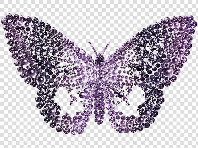 Mariposa Png  Transparent PngTransparent PNG