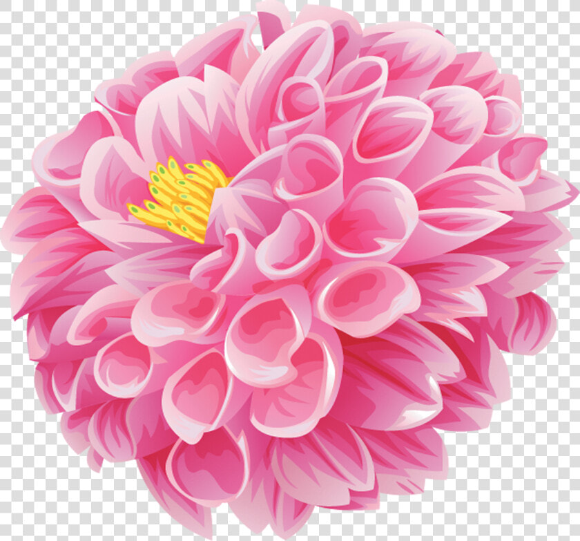 Flower Poster Dahlia Wallpaper  HD Png DownloadTransparent PNG