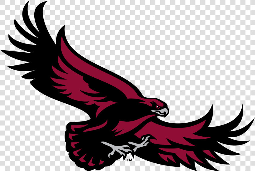Saint Joseph S Hawks Logo Png Transparent   St Joe  39 s University Logo  Png DownloadTransparent PNG
