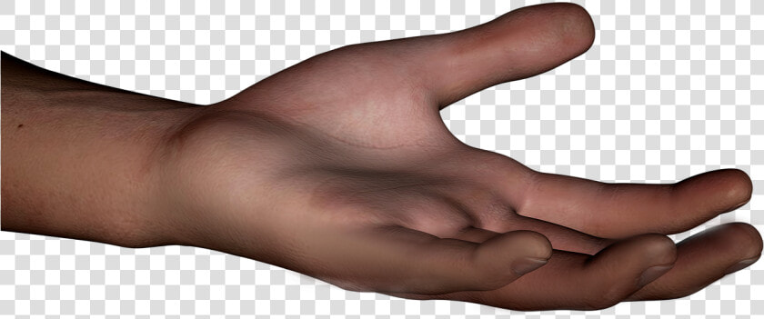 Mão Png  Transparent PngTransparent PNG