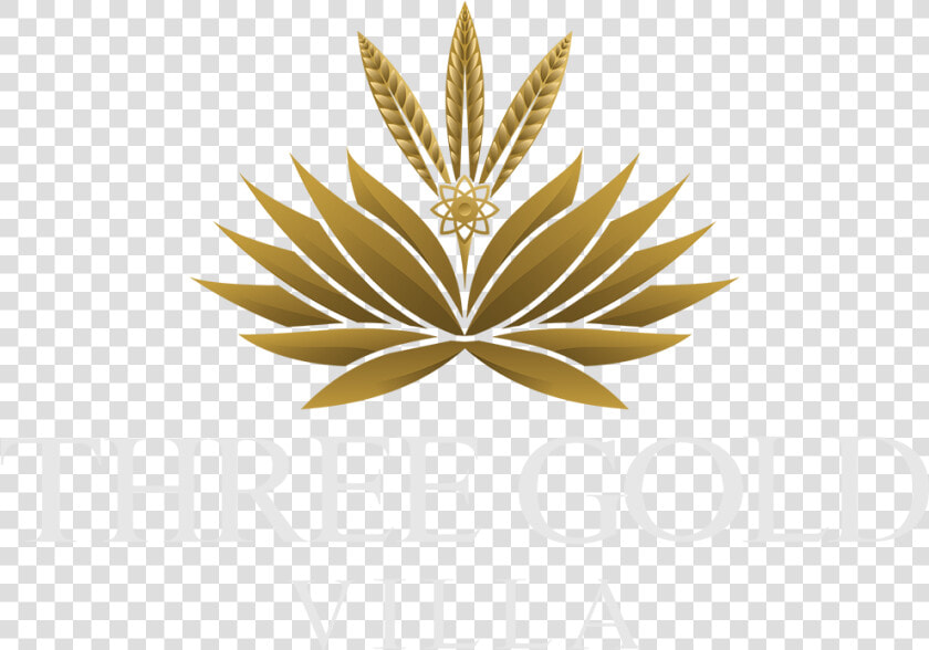 Three Gold Luxury Private Villa   Illustration  HD Png DownloadTransparent PNG