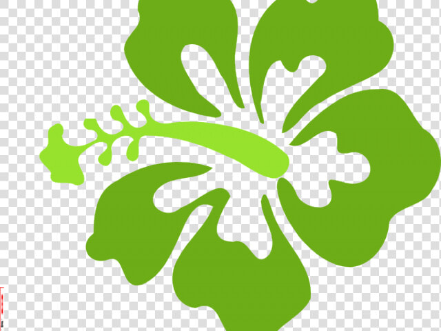 Transparent School Custodian Clipart   Hibiscus Clipart  HD Png DownloadTransparent PNG